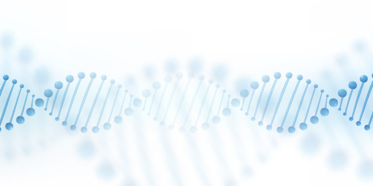 Estimating quality of life with biomarkers among older Korean adults: A machine-learning approach