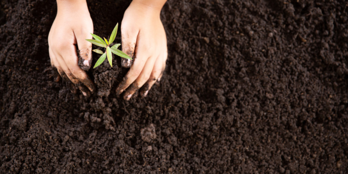 Modified Pyramid of CSR for Corporate Image and Customer Loyalty