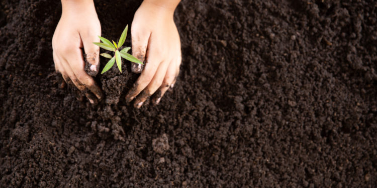 Modified Pyramid of CSR for Corporate Image and Customer Loyalty