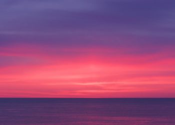 어리석음으로도 충분히 설명되는 일을 악의 탓으로 돌리지 마라