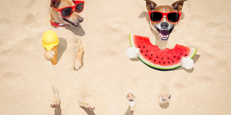 Vol.73 성격의 5가지 특징 | 외향성