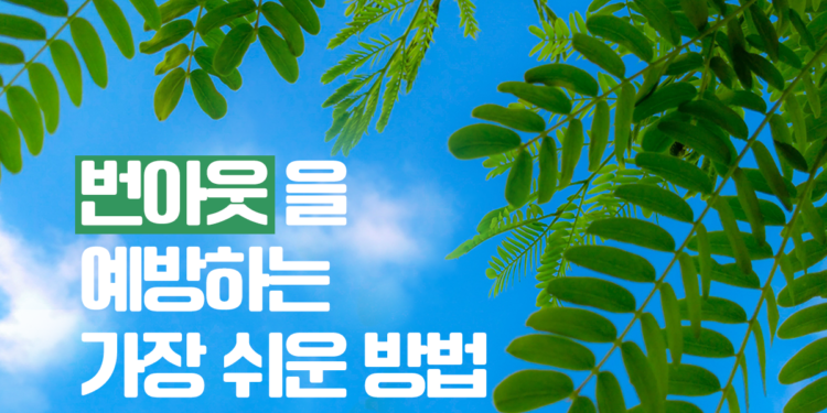 번아웃을 예방하는 방법